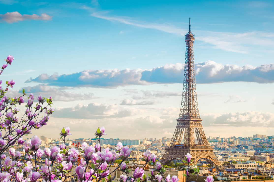 Eiffel Tour and Paris Cityscape