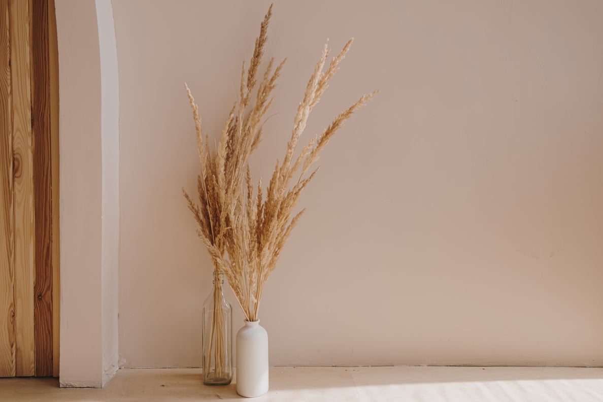 Vases with Pampas Grass against the Wall