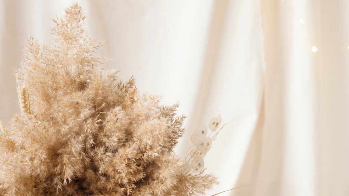 Pampas grass are collected in a bouquet for room decor. Bouquet of dried flowers. Floral minimal home interior boho style. Boho style holiday photo zone decor